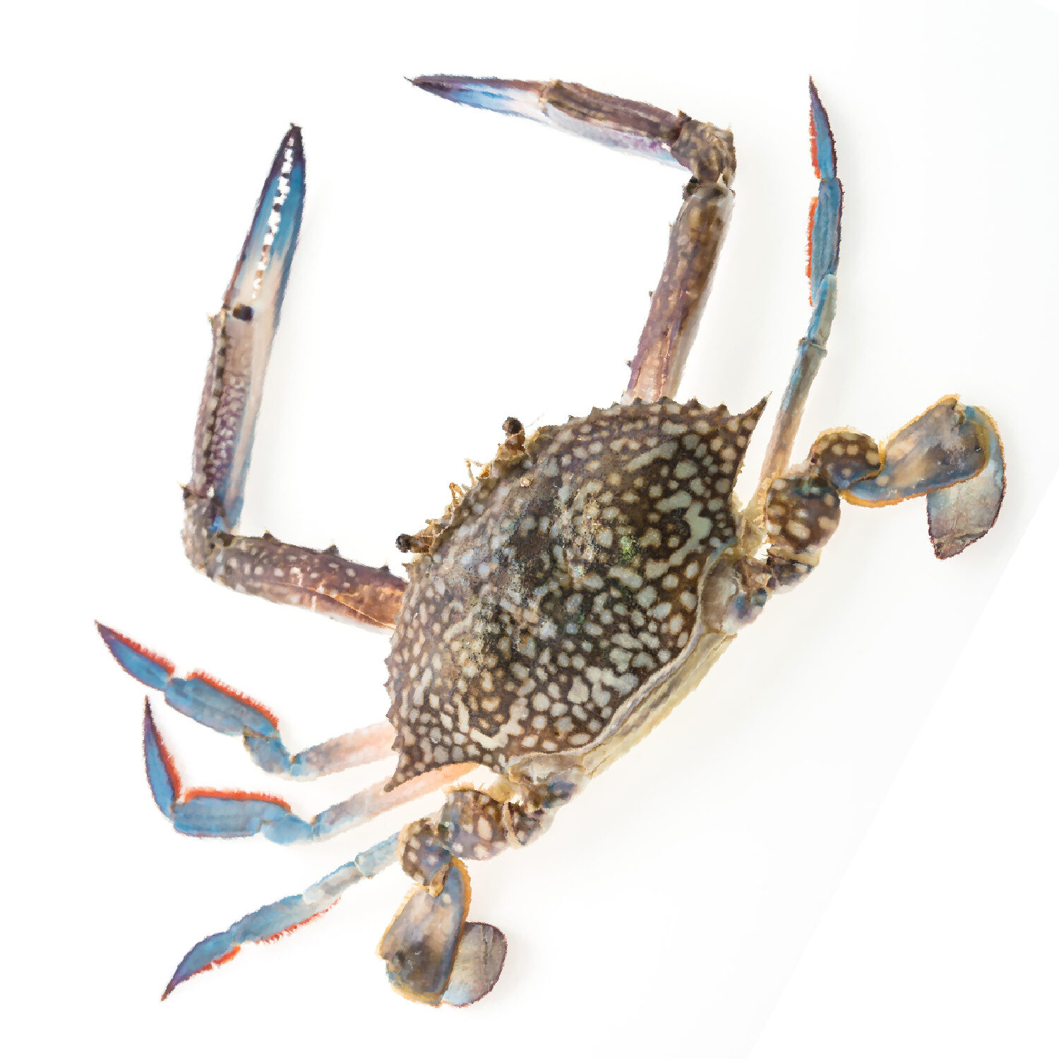 CRABS